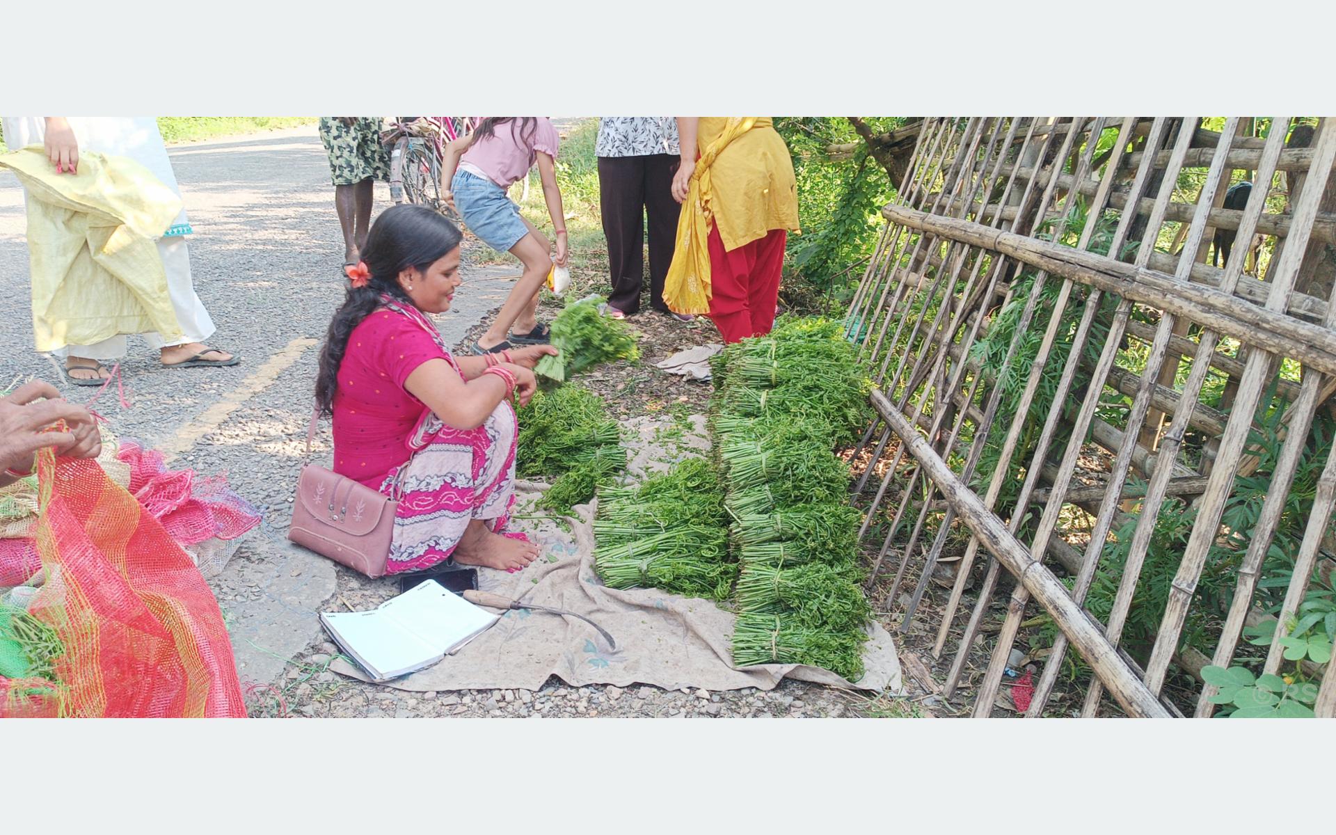 निगुरो व्यापार : लगानी बिना नै लोभलाग्दो आम्दानी