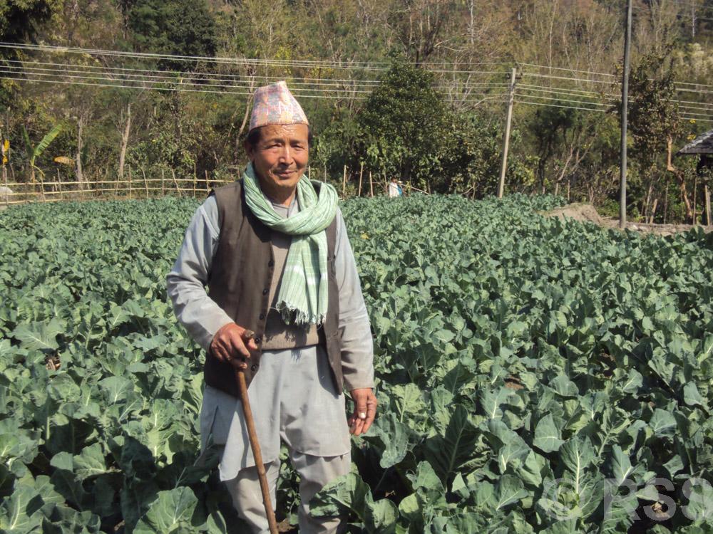 कृषि र पशुपालनबाट वार्षिक १५ लाख कमाउँदै ८० वर्षीय वृद्ध