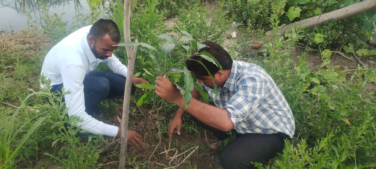 समृद्धि फाईनान्सको औरही शाखाबाट बृक्षारोपण