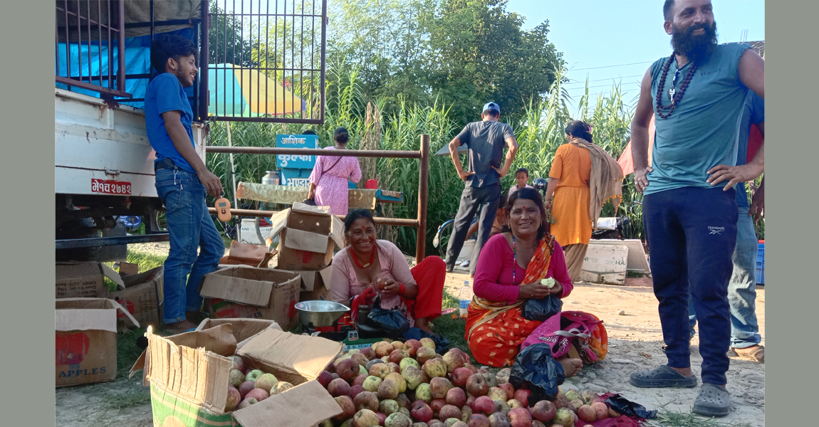 जुम्लाका उत्पादन, कैलालीमा व्यापार