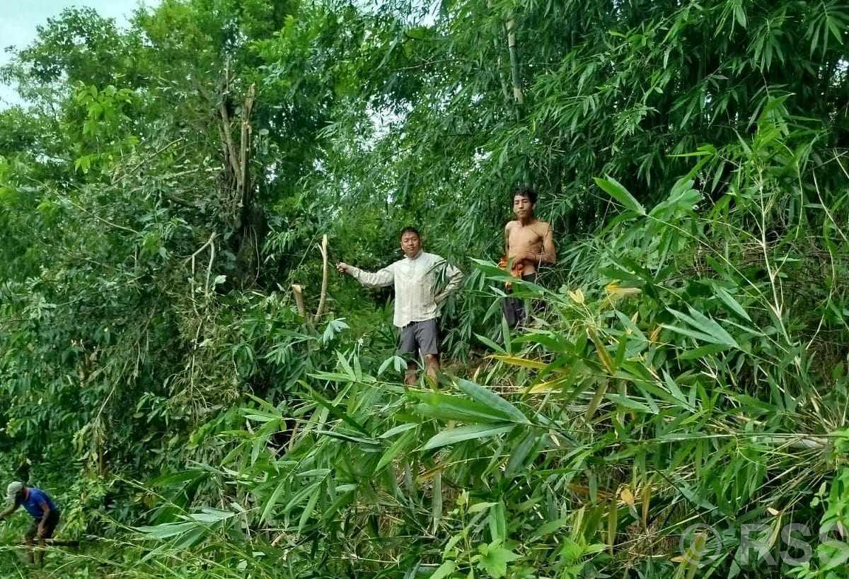 विद्युतीय जोखिम कम गर्न श्रमदानद्वारा झाडी हटाइँदै