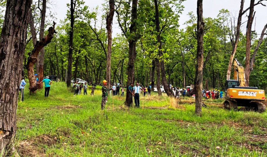 मधेश प्रदेशमा ६ हजार हेक्टर वनक्षेत्र अतिक्रमित