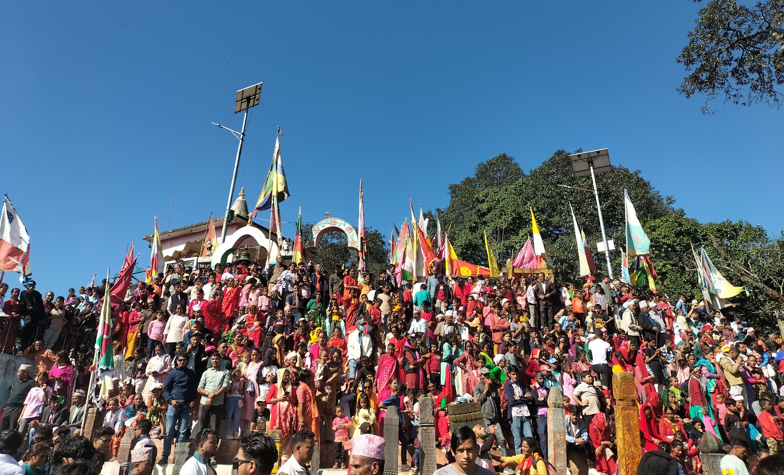 बैतडीको भगवती मन्दिरमा एक हजार पशुबलि चढाइयो