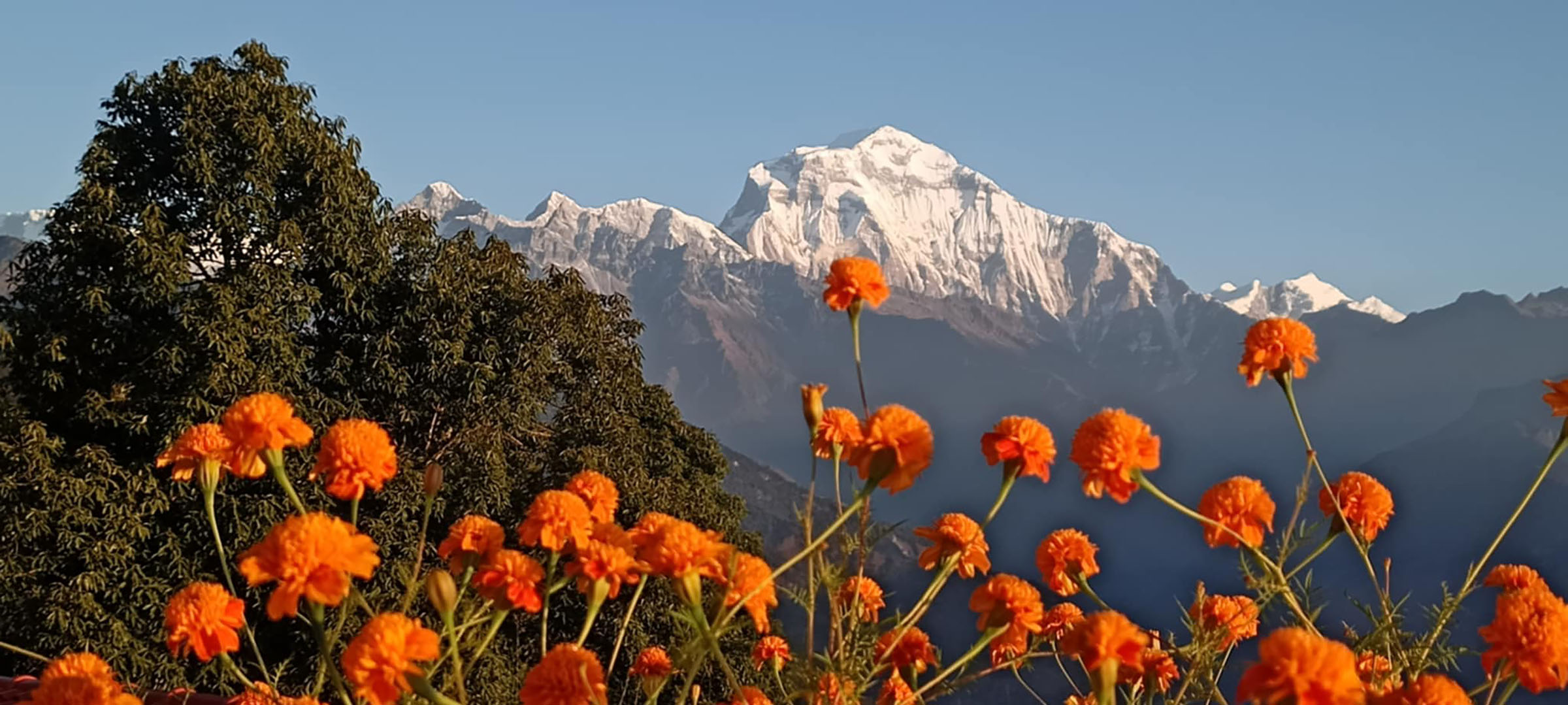 धवलागिरि आरोहण गर्न २४ जना ले अनुमति लिए, ५१ लाख शुल्क संकलन