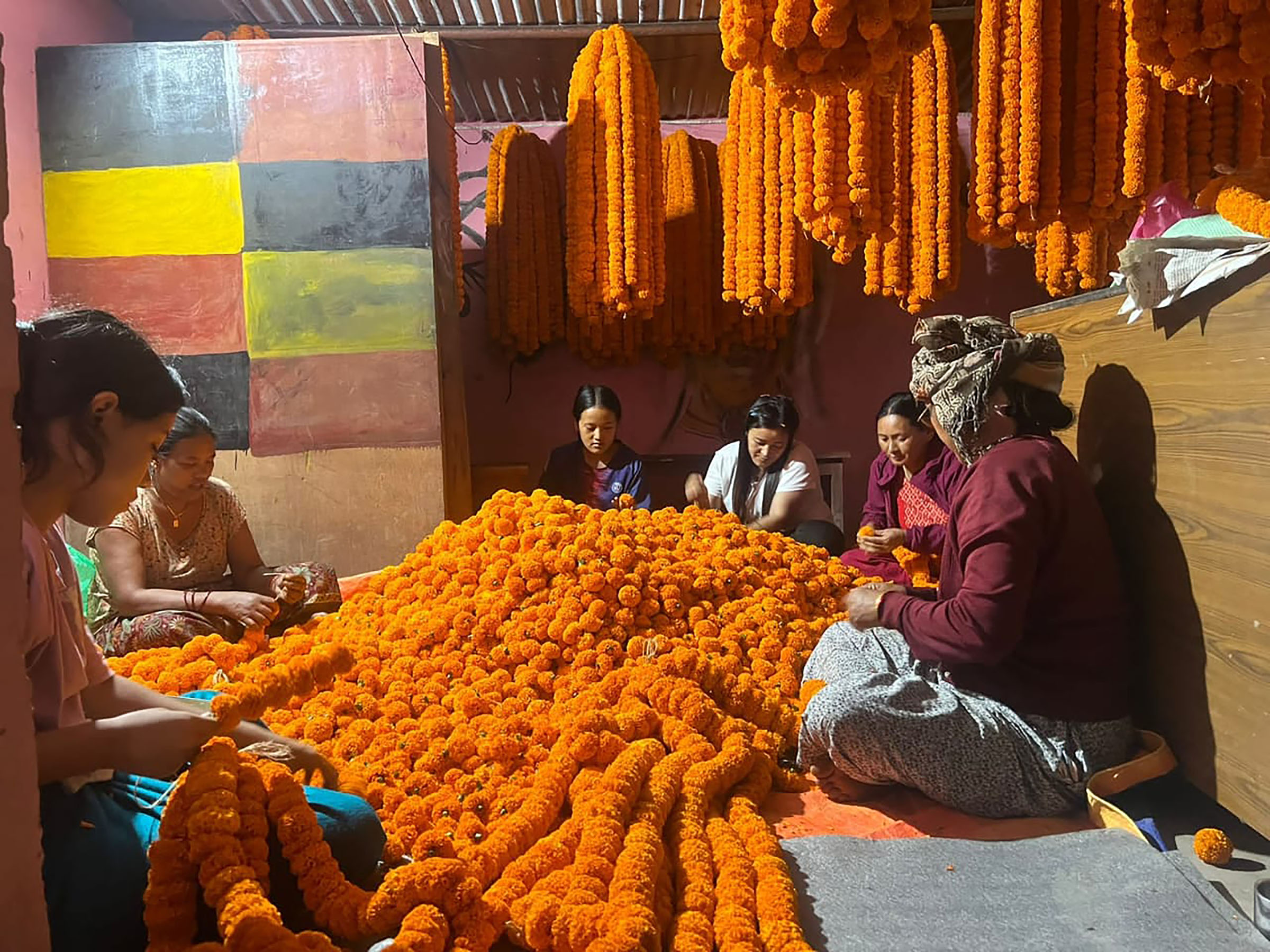 तनहुँको सयपत्री कतार निर्यात