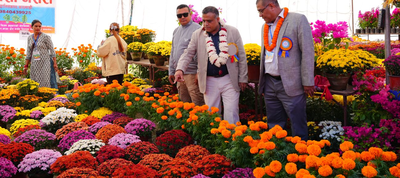 गोदावरी फूलको प्रतियोगितात्मक प्रदर्शनीमा ४५ लाखको कारोबार