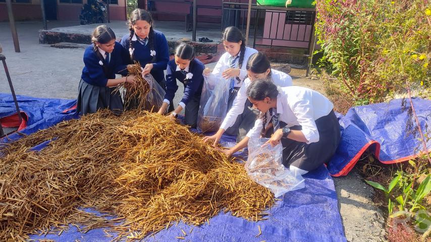 सुन्दरबजारका विद्यार्थीद्वारा व्यावसायिक च्याउखेती सुरु