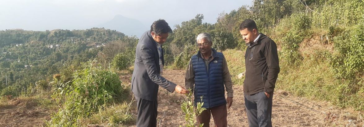 बाँझो जग्गामा कागतीखेती