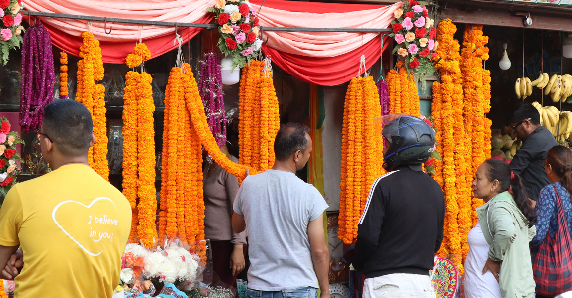 तिहारमा ५० करोडको फूल बिक्री, सबैभन्दा धेरै खपत काठमाडौं उपत्यकामा