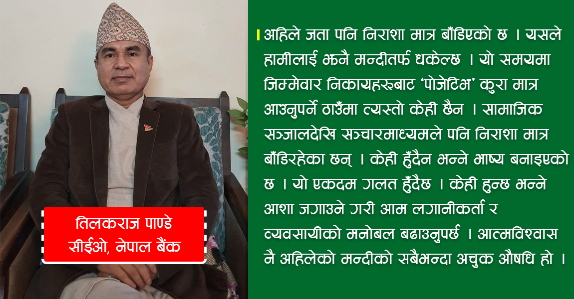 अहिलेको अवस्थामा बैंक तथा वित्तीय संस्थाले मात्र जोड गरेर मन्दीबाट पार पाउन सकिँदैन : सीईओ पाण्डे (अन्तर्वार्ता)