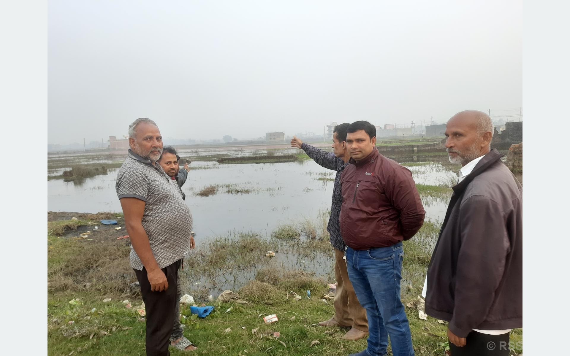 निकास नहुँदा वीरगञ्जको दुई सय बिघा खेतीयोग्य जमिन डुबानमा