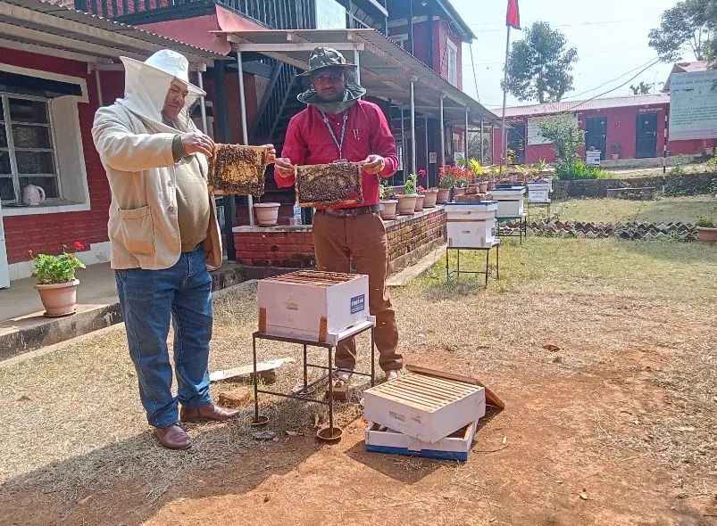 पाल्पामा वडा कार्यालयमा मौरीपालन व्यवसाय