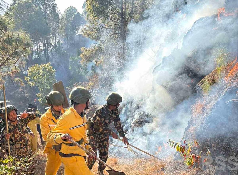 पाल्पाको जङ्गलमा डढेलो, १० हेक्टर वन डढेलोले सखाप