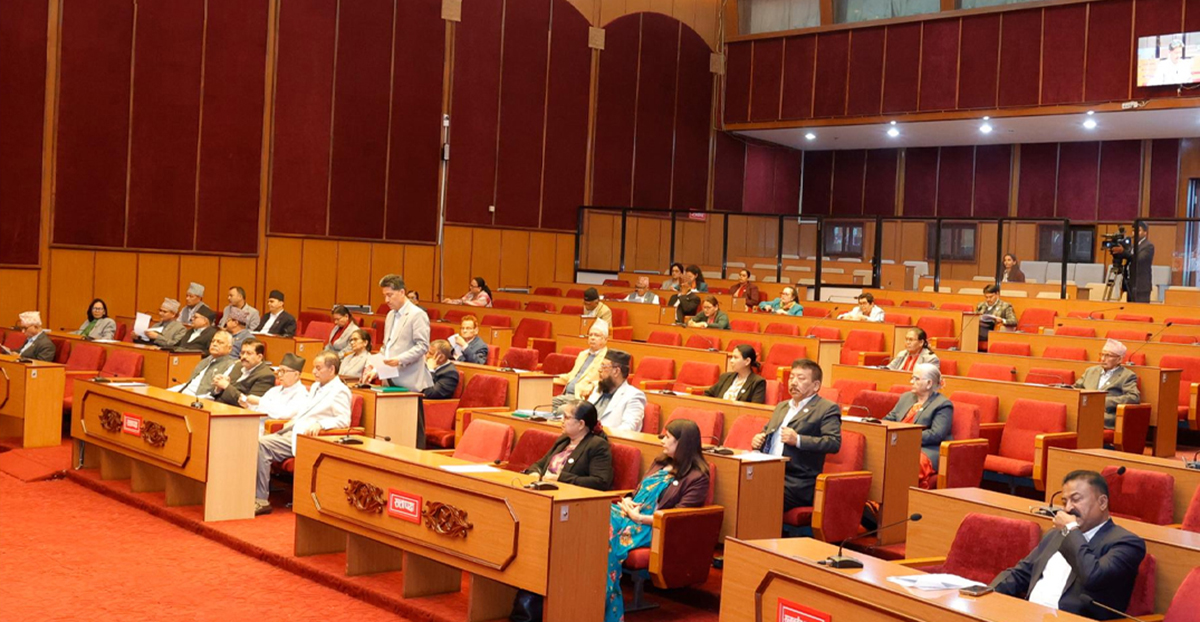 राष्ट्रियसभाबाट संवैधानिक परिषद्सम्बन्धी विधेयक स्वीकृत