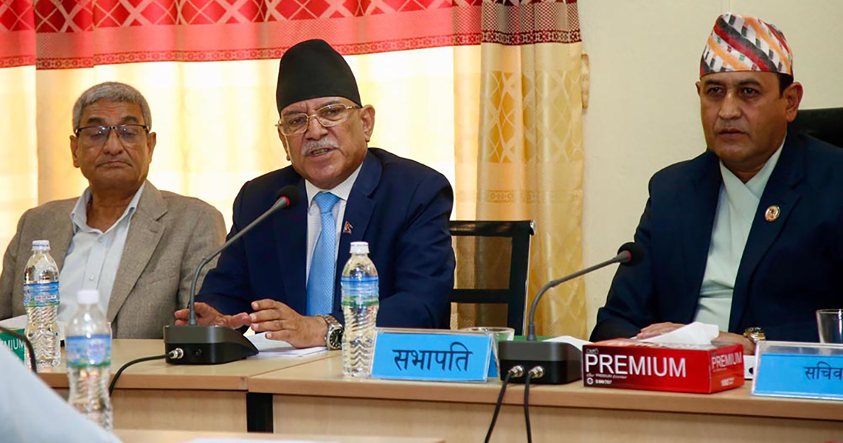 प्रचण्डले भने– संसदीय समितिमा सर्वसम्मत पारित भएका विधेयकमाथि छेडखानी नहोस्