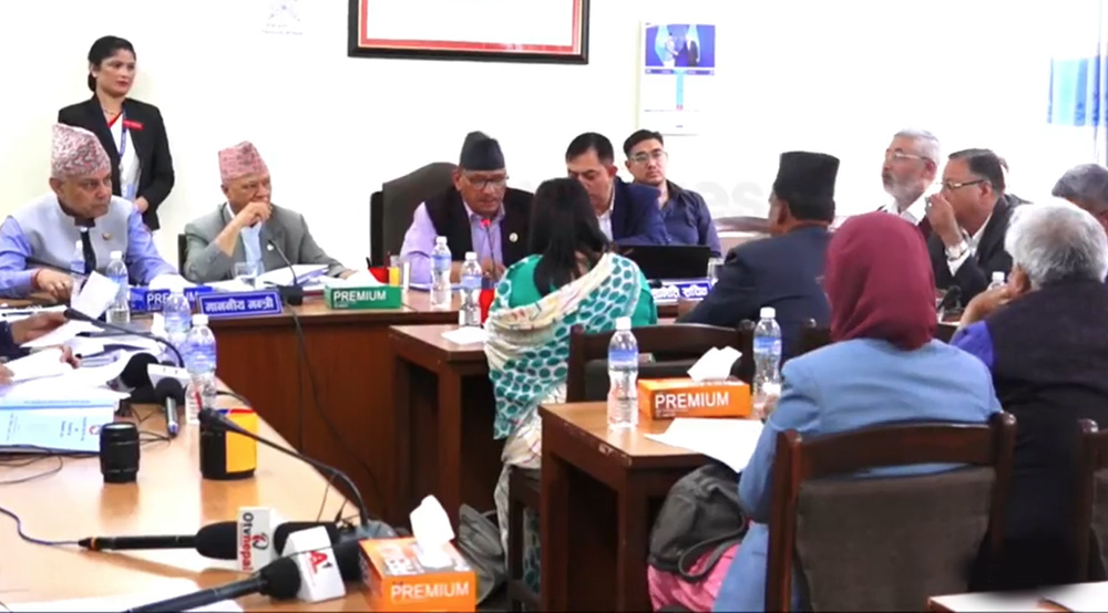 शिक्षा समितिमा उपसमितिले तयार पारेको प्रतिवेदन परिमार्जनसहित पारित