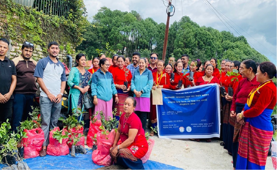 वातावरण मैत्री स्वावलम्बन नमूना गाउँ विकास अन्तर्गत फलफूलका बिरुवा वितरण