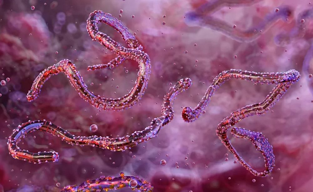 इथोपियामा भेटियो नयाँ भाइरस, डब्ल्यूएचओले दियो यस्तो चेतावनी