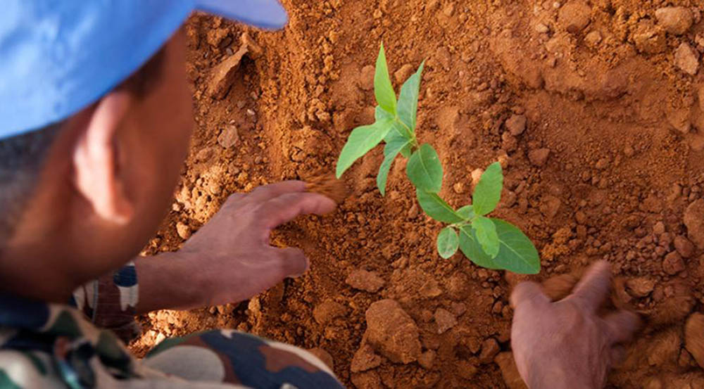 युद्ध र सशस्त्र द्वन्द्वमा वातावरणको दोहन रोक्नको लागि अन्तर्राष्ट्रिय दिवस मनाइदै