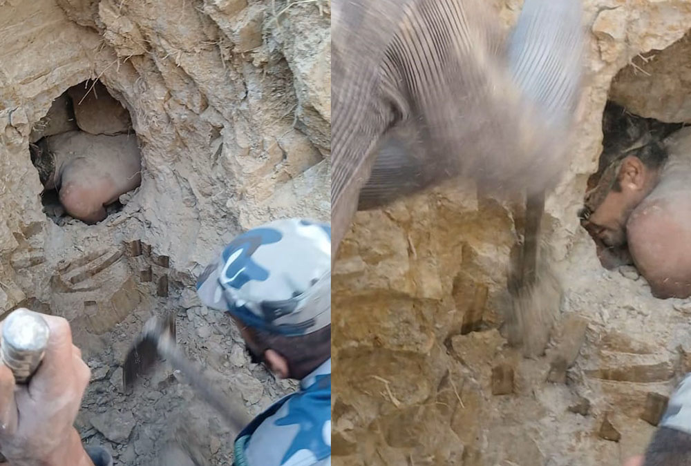 प्वालमा अड्किएका पुरुषको सकुशल उद्दार