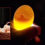 स्मार्ट फोनबाट सडेको अण्डा कसरी पत्ता लगाउने ?