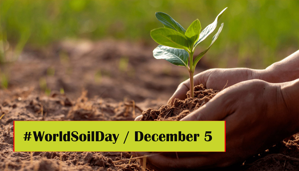 आज १२औं विश्व माटो दिवस मनाइँदै